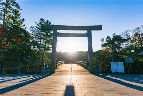 西島悠也